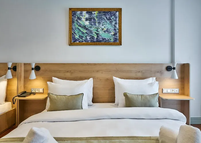 Joyway Sultanahmet 4* イスタンブール