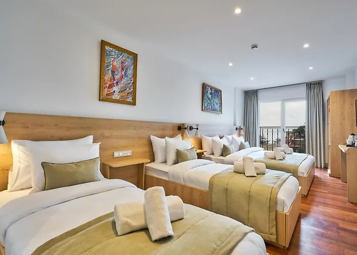 Joyway Sultanahmet 4*