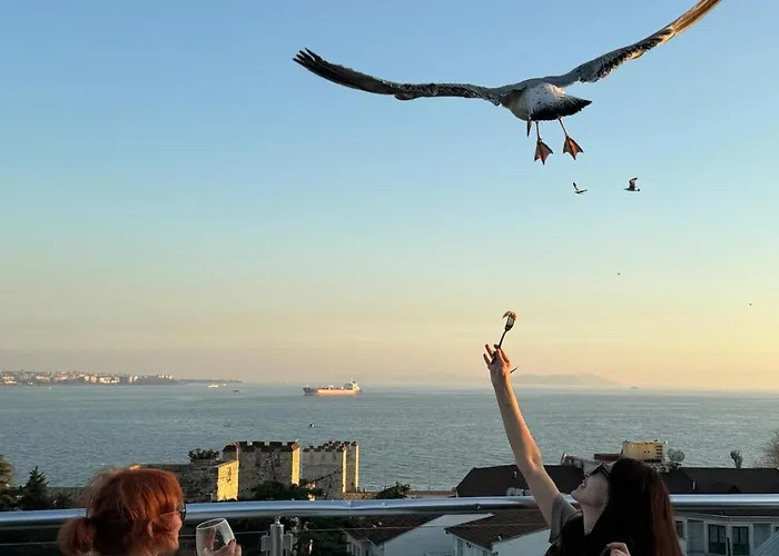 Joyway Sultanahmet 4* イスタンブール