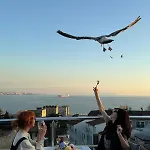 Joyway Sultanahmet 4* Istanbulská provincie